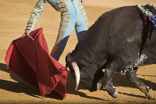 Bullfighter with the Cape in the Bullfight, Spain