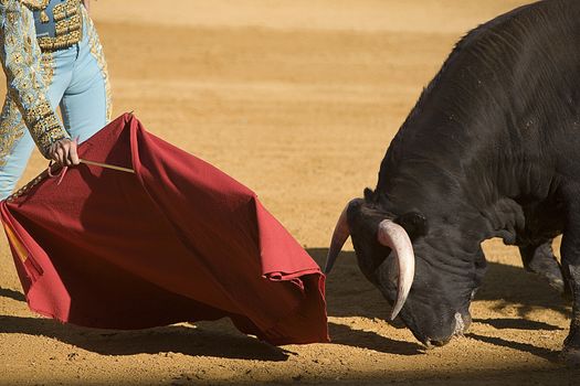 Bullfighter with the Cape in the Bullfight, Spain