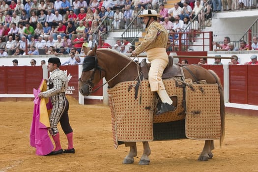 Picador bullfighter, lancer whose job it is to weaken bull's neck muscles, Spain