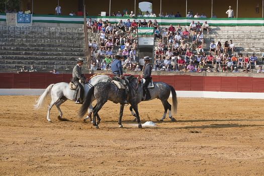 Antonio Domecq, Leonardo Hernandez and Andy Cartagena, bullfighters on horseback spanish, Baeza, Jaen province, Spain, 13 august 2010