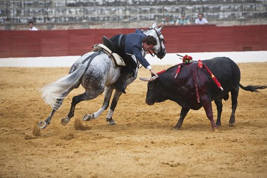 Leonardo Hernandez, bullfighter on horseback spanish, Baeza, Jaen province, Spain, 13 august 2010
