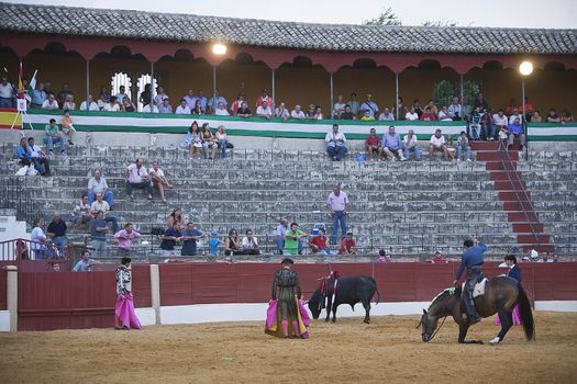 Andy Cartagena, bullfighter on horseback spanish, Baeza, Jaen province, Spain, 13 august 2010