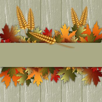 Thanksgiving day background