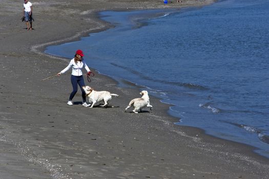 Woman playing with dogs on the beach, Spain