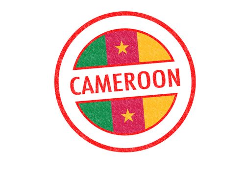 Passport-style CAMEROON rubber stamp over a white background.