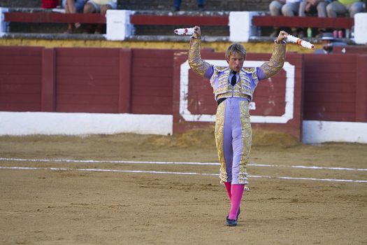 Banderillero, the torero who, on foot, places the darts in the bull, the banderillas is Brightly-coloured darts placed in the bull