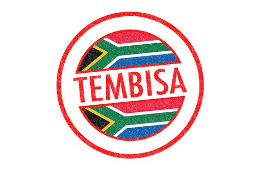 Passport-style TEMBISA (South Africa) rubber stamp over a white background.