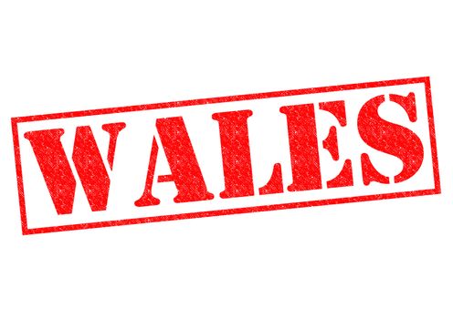 WALES Rubber Stamp over a white background.