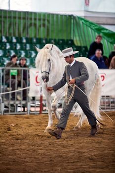 Equestrian test of morphology to pure Spanish horses, Spain