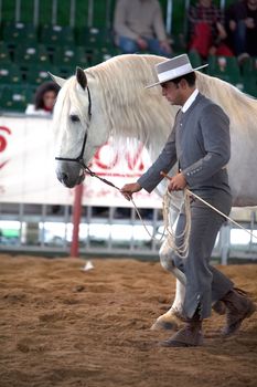 Equestrian test of morphology to pure Spanish horses, Spain