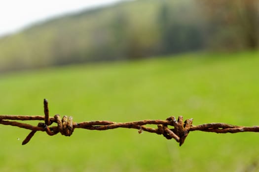 barbed Wire fence in front of the green meadow