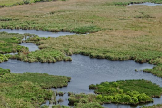 more small lakes in the reeds