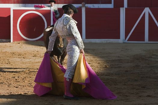 Bullfighter with the Cape in the Bullfight, Spain