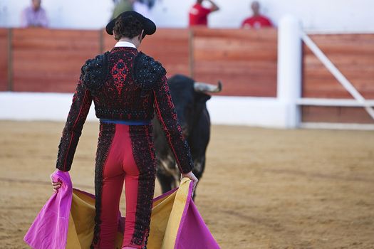 Bullfighter with the Cape in the Bullfight, Spain