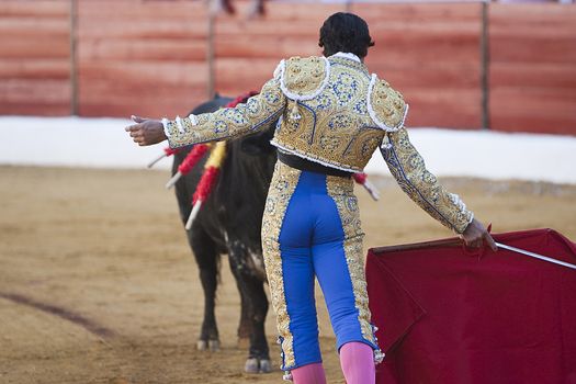 The Spanish Bullfighter Francisco Rivera bullfighting with the crutch in the Bullring of the Villanueva del arzobispo, Jaen province, Spain, 9 september 2011
