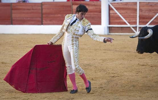 The Spanish Bullfighter Cayetano Rivera bullfighting with the crutch in the Bullring of Sabiote, Jaen, Spain, 9 september 2011