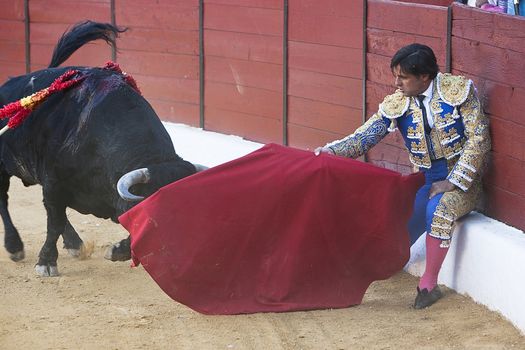 The Spanish Bullfighter Francisco Rivera bullfighting with the crutch in the Bullring of the Villanueva del arzobispo, Jaen province, Spain, 9 september 2011