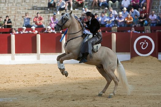 Noelia Mota, woman bullfighter on horseback spanish, Ubeda, Jaen, Spain, 29 september  2011