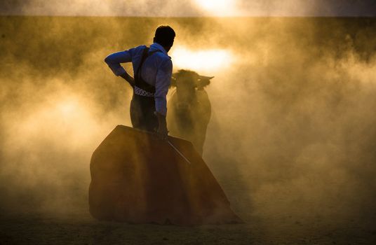 The Spanish bullfighter David Valiente Bullfight at tentadero, Jaen, Spain, 7 september 2009