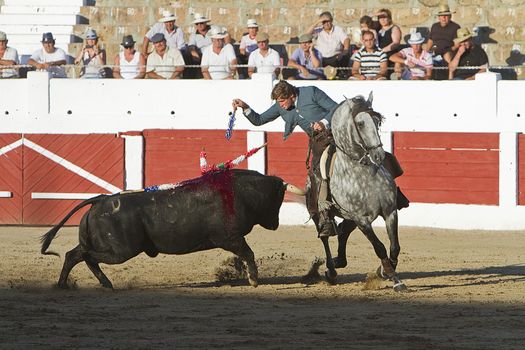 Fermin Bohorquez, bullfighter on horseback spanish, Linares, Jaen province, Spain, 29 august 2010