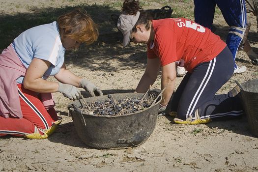 Two farmers unload olives in a heap on the floor, Jaen, Spain