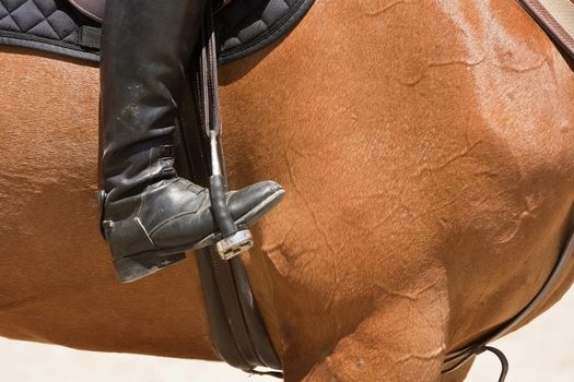 Rider competing in dressage competition classic, Montenmedio, Cadiz, Spain