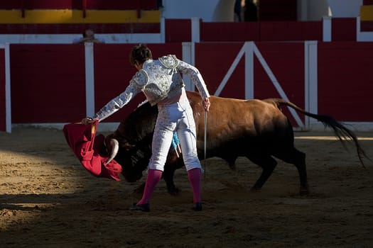 The Spanish Bullfighter Alberto Lamelas bullfighting with the crutch in the Bullring of Sabiote, Jaen, Spain, 24 august 2011