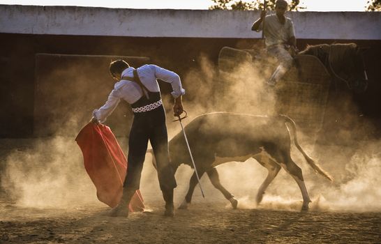 The Spanish bullfighter David Valiente Bullfight at tentadero, Jaen, Spain, 9 september 2009