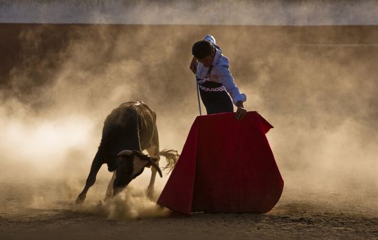 The Spanish bullfighter David Valiente Bullfight at tentadero, Jaen, Spain, 9 september 2009