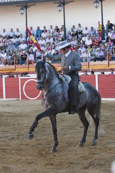 Alvaro Montes, bullfighter on horseback spanish, Sabiote, Jaen province, Spain, 24 august 2011