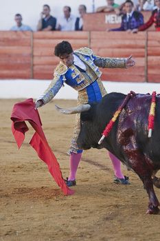 The Spanish Bullfighter Francisco Rivera bullfighting with the crutch in the Bullring of the Villanueva del arzobispo, Jaen province, Spain, 9 september 2011
