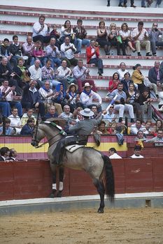 Alvaro Montes, bullfighter on horseback spanish, Baeza, Jaen, Spain, 13 october 2008