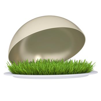 Green grass on a plate with a lid. Isolated render on a white background