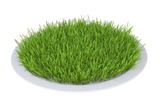 Green grass on a plate. Isolated render on a white background