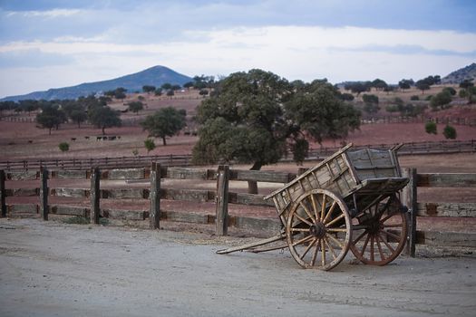 Carriage of wood, Spain
