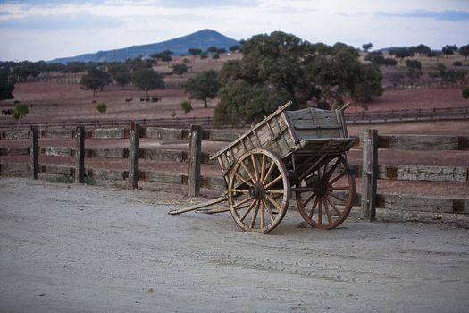 Carriage of wood, Spain