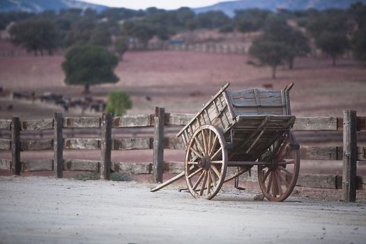Carriage of wood, Spain