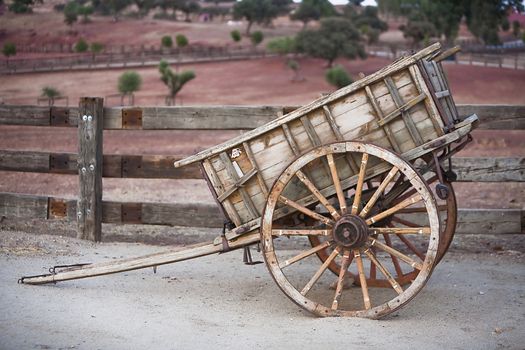 Carriage of wood, Spain