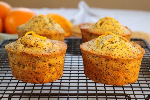 Fresh baked orange and poppyseed cakes straight out of the oven.