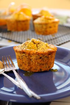 Orange poppyseed cake with orange syrup ready to serve.