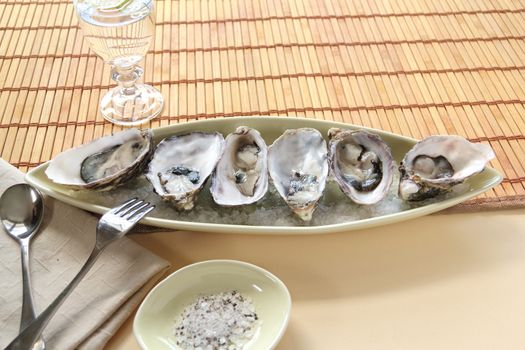 Fresh natural oysters in their shells ready to serve with copy space.