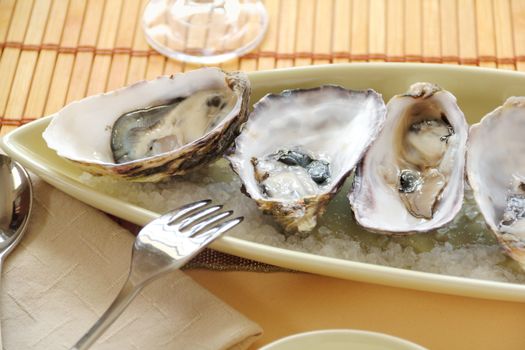 Fresh natural oysters in their shells ready to serve.