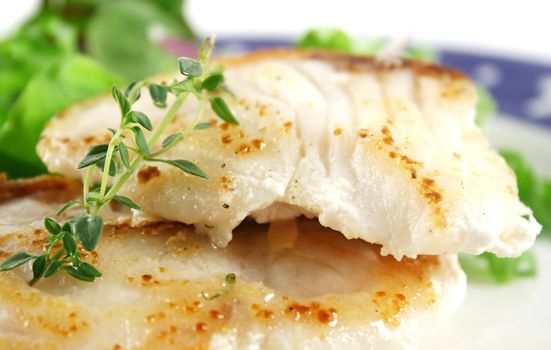 Profile close up of pan fried Sea Perch with and salad.