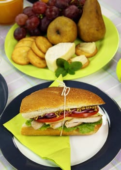 Freshly prepared chicken and salad roll with fruit in the background.