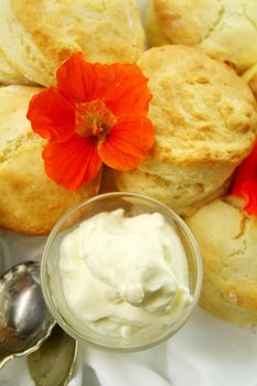 Fresh baked scones with whipped cream and a nasturian flower.