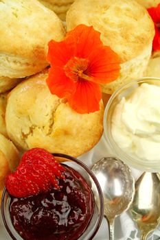Fresh baked scones with strawberry jam and whipped cream and a nasturian flower.
