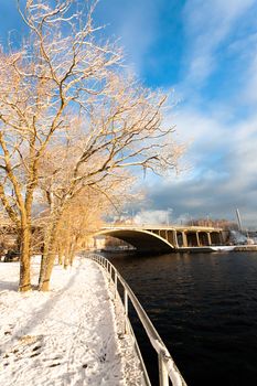 Golden morning light trees and bridge