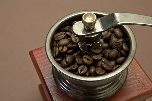 Roasted coffee beans are ground in a coffee grinder