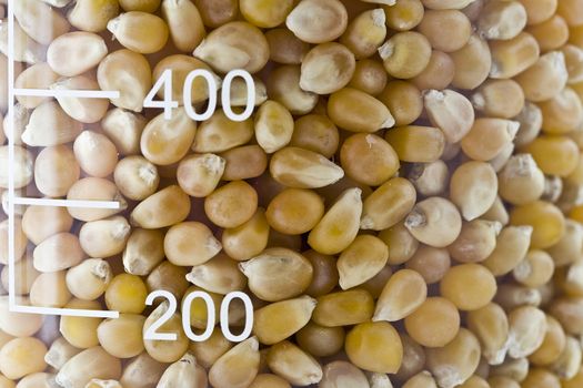 Flask filled with grains of corn