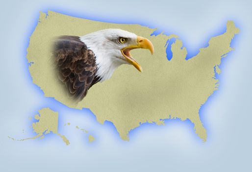 United States map with a bald eagle